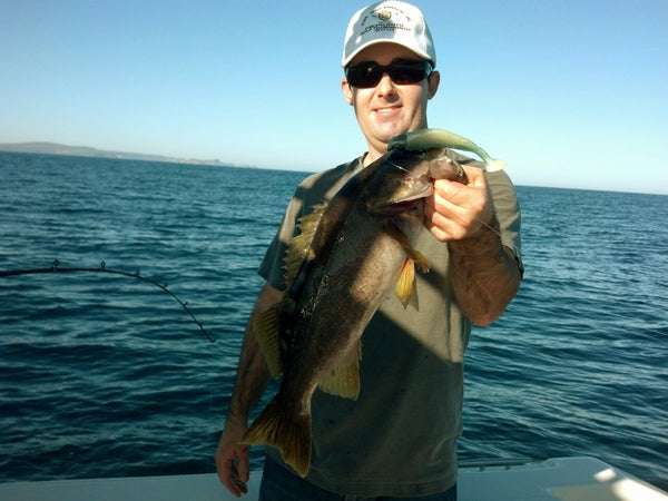 The Swimbait